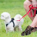 Biodegradable Pet Waste Bags